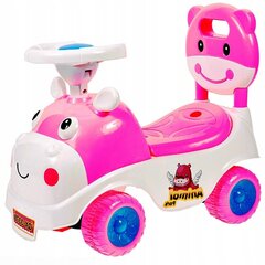 Коляска Флюксар розовая цена и информация | Игрушки для малышей | pigu.lt