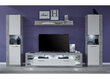 TV stovas Trendteam Rock, 200 cm, baltas/pilkas kaina ir informacija | TV staliukai | pigu.lt