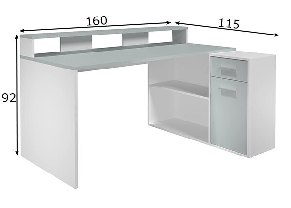 Rašomasis stalas Trendteam Gamer, baltas/pilkas kaina ir informacija | Kompiuteriniai, rašomieji stalai | pigu.lt