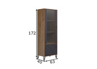 Шкаф-витрина Trendteam Montez, коричневый / серый цена и информация | Витрины, серванты | pigu.lt