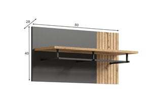Вешалка настенная Trendteam Esteban, серый / коричневый цена и информация | Вешалки для одежды | pigu.lt