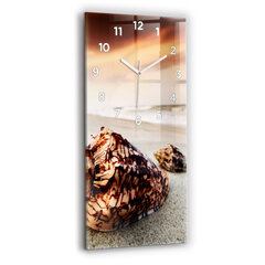 Sieninis laikrodis Paplūdimio apvalkalas kaina ir informacija | Laikrodžiai | pigu.lt
