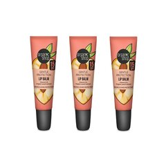 Lūpų balzamas su vitaminu E Organic Shop SPF15, 3 x 10 ml kaina ir informacija | Lūpų dažai, blizgiai, balzamai, vazelinai | pigu.lt