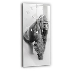 Sieninis laikrodis Gyvūnų meno kolekcija kaina ir informacija | Laikrodžiai | pigu.lt