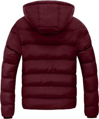 Мужская зимняя куртка Szory, красная цена и информация | Мужские куртки | pigu.lt