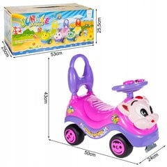 Paspiriama mašinėlė RIDER, rožinė kaina ir informacija | Žaislai kūdikiams | pigu.lt
