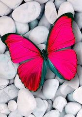 Deimnantinė mozaika Wizardi Pink Butterfly, 20x30 cm kaina ir informacija | Deimantinės mozaikos | pigu.lt