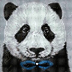 Deimantinė mozaika Panda Wizardi P2466, 20x20 cm kaina ir informacija | Deimantinės mozaikos | pigu.lt