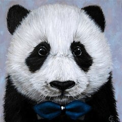 Deimantinė mozaika Panda Wizardi P2466, 20x20 cm kaina ir informacija | Deimantinės mozaikos | pigu.lt