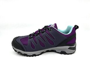 Кроссовки Brütting Expedition черный _ фиолетовый цена и информация | Спортивная обувь, кроссовки для женщин | pigu.lt