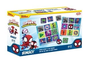 Stalo žaidimas Cartamundi Bingo Spidey kaina ir informacija | Stalo žaidimai, galvosūkiai | pigu.lt