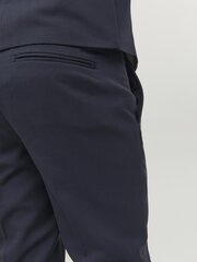 JACK & JONES брюки для мальчиков 12203547*02, синие цена и информация | Спортивные штаны для мальчиков | pigu.lt