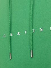 Jack & Jones džemperis vyrams 12233972*03, žalias kaina ir informacija | Džemperiai vyrams | pigu.lt