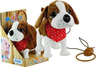 Pliušinis šuo su pavadėliu, rudas kaina ir informacija | Minkšti (pliušiniai) žaislai | pigu.lt