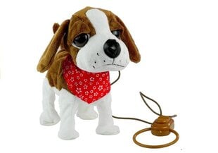 Pliušinis šuo su pavadėliu, rudas kaina ir informacija | Minkšti (pliušiniai) žaislai | pigu.lt