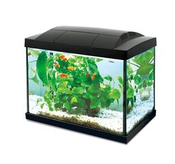 Akvariumas Hailea K-20 20L, juodas kaina ir informacija | Akvariumai ir jų įranga | pigu.lt