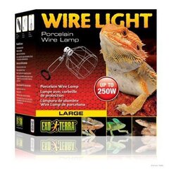 Terariumo lempa Exo-Terra Wire Light. L kaina ir informacija | Prekės egzotiniams gyvūnams | pigu.lt