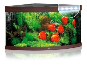 Akvariumas Trigon LED 350 L, rudas kaina ir informacija | Akvariumai ir jų įranga | pigu.lt