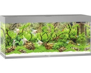 Akvariumas Rio LED 240 L, pilka цена и информация | Аквариумы и оборудование | pigu.lt