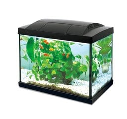 Akvariumas Hailea K-30 30L, juodas, su įranga kaina ir informacija | Akvariumai ir jų įranga | pigu.lt