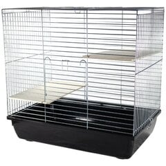 Клетка Chinchilla 60 Zinc G077 58x38x57.5см цена и информация | Клетки и аксессуары для грызунов | pigu.lt