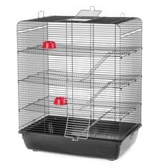 Клетка для грызунов Remy цветная G126 58x38x71см цена и информация | Клетки и аксессуары для грызунов | pigu.lt