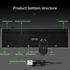 Limeide GTX300 kaina ir informacija | Klaviatūros | pigu.lt