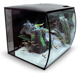 Akvariumas Fluval FLEX 57L, juodas kaina ir informacija | Akvariumai ir jų įranga | pigu.lt