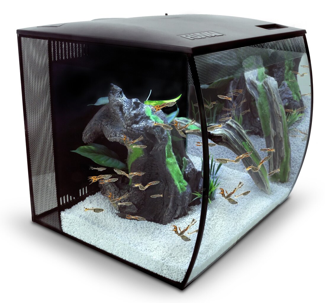 Akvariumas Fluval FLEX 57L, juodas, su įranga kaina ir informacija | Akvariumai ir jų įranga | pigu.lt