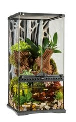 Стеклянный террариум Exo-Terra Paludarium 30x30x60cm PT2595 цена и информация | Товары для экзотических животных | pigu.lt