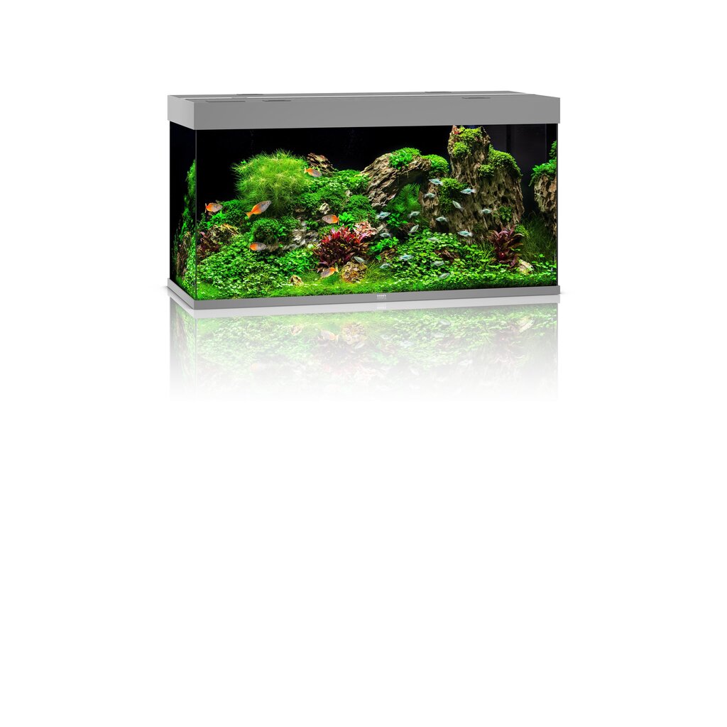 Akvariumas Rio LED 350 L, pilkas kaina ir informacija | Akvariumai ir jų įranga | pigu.lt