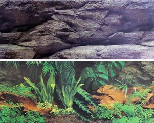 Akvariumo fonas Karlie Akmenys/augalai, 15x30 cm kaina ir informacija | Akvariumo augalai, dekoracijos | pigu.lt