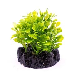 Dekoratyvinis augalas Resun Q-3007B 4, 10 cm kaina ir informacija | Akvariumo augalai, dekoracijos | pigu.lt