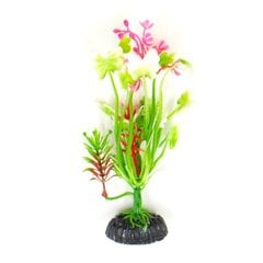 Dekoratyvinis augalas Hailea M040, 20 cm kaina ir informacija | Akvariumo augalai, dekoracijos | pigu.lt