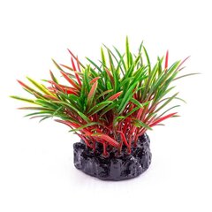 Dekoratyvinis augalas Resun Q-113A 4, 10 cm kaina ir informacija | Akvariumo augalai, dekoracijos | pigu.lt