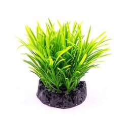 Dekoratyvinis augalas Resun Q-113C 4, 10 cm kaina ir informacija | Akvariumo augalai, dekoracijos | pigu.lt