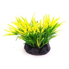 Dekoratyvinis augalas Resun Q-113E 4, 10 cm kaina ir informacija | Akvariumo augalai, dekoracijos | pigu.lt