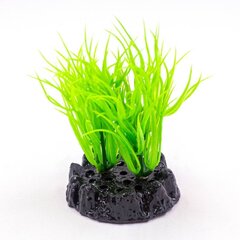 Dekoratyvinis augalas Resun Q-117T 4, 10 cm kaina ir informacija | Akvariumo augalai, dekoracijos | pigu.lt