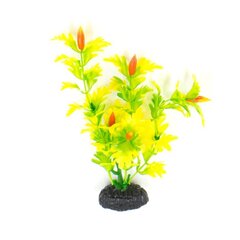 Dekoratyvinis augalas Hailea M039, 20 cm kaina ir informacija | Akvariumo augalai, dekoracijos | pigu.lt