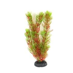 Dekoratyvinis augalas Hailea M016, 20 cm kaina ir informacija | Akvariumo augalai, dekoracijos | pigu.lt