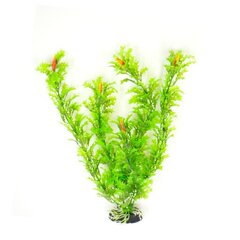 Dekoratyvinis augalas Hailea M023, 30 cm kaina ir informacija | Akvariumo augalai, dekoracijos | pigu.lt