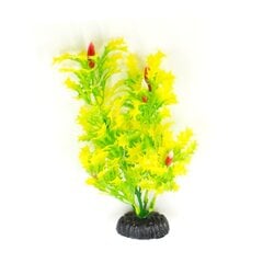 Dekoratyvinis augalas Hailea M005, 20 cm kaina ir informacija | Akvariumo augalai, dekoracijos | pigu.lt
