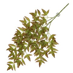 Dekoratyvinis augalas terariumui Unsorted Nandina, 65x35x1,5 cm, žalias/raudonas kaina ir informacija | Prekės egzotiniams gyvūnams | pigu.lt