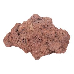 Аквариумный камень Лава 8-15см. 1 шт. цена и информация | Аквариумные растения и декорации | pigu.lt