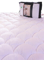 Одеяло ECONOMY LINE 4 Seasons 140x200 см. цена и информация | Одеяла | pigu.lt