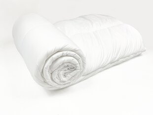 Односпальное одеяло ECONOMY LINE 160x200 см. цена и информация | Одеяла | pigu.lt