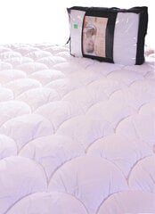 Одеяло ECONOMY LINE 4 Seasons 200x200 см. цена и информация | Одеяла | pigu.lt