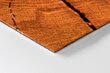 Durų kilimėlis Kamieno medis 60x40 cm kaina ir informacija | Durų kilimėliai | pigu.lt