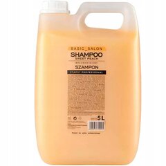 Stiprinantis plaukų šampūnas Stapiz Professional, 5000 ml цена и информация | Шампуни | pigu.lt