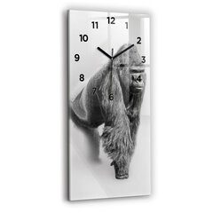 Sieninis laikrodis Gyvūnų meno kolekcija kaina ir informacija | Laikrodžiai | pigu.lt